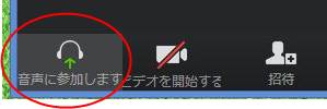 音声に参加します