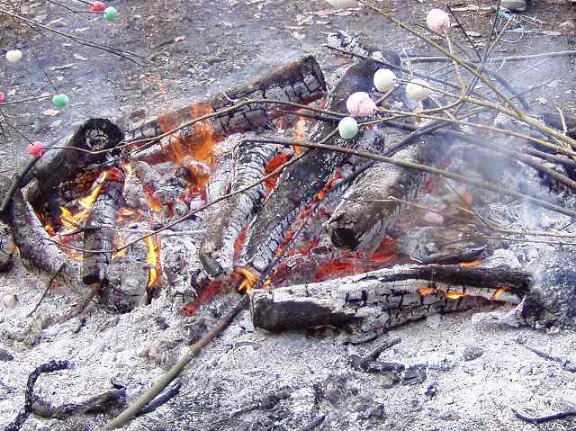 どんど焼き当日の楽しみ方
